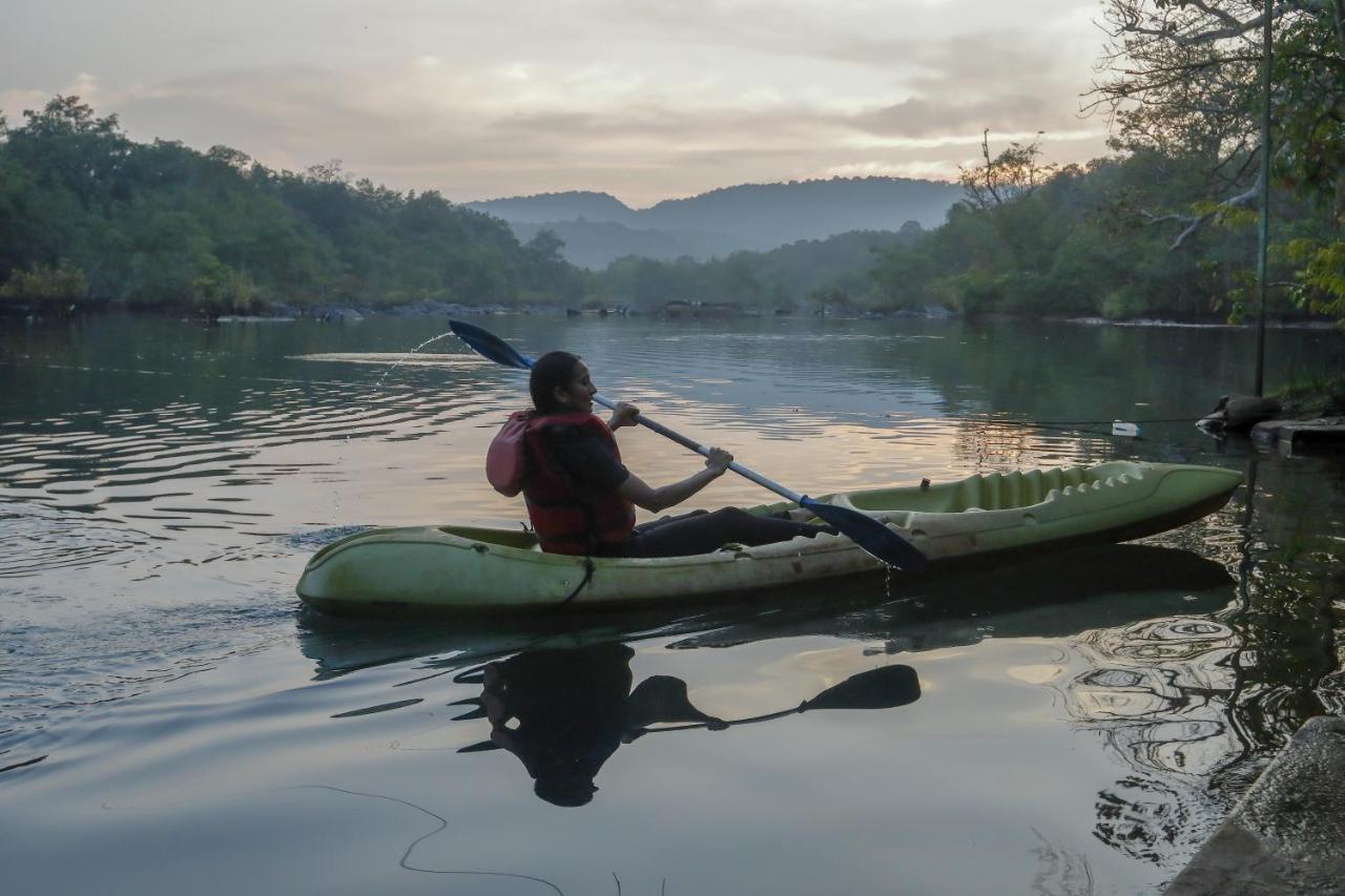 Whistling Woodzs Resort Dandeli Dış mekan fotoğraf