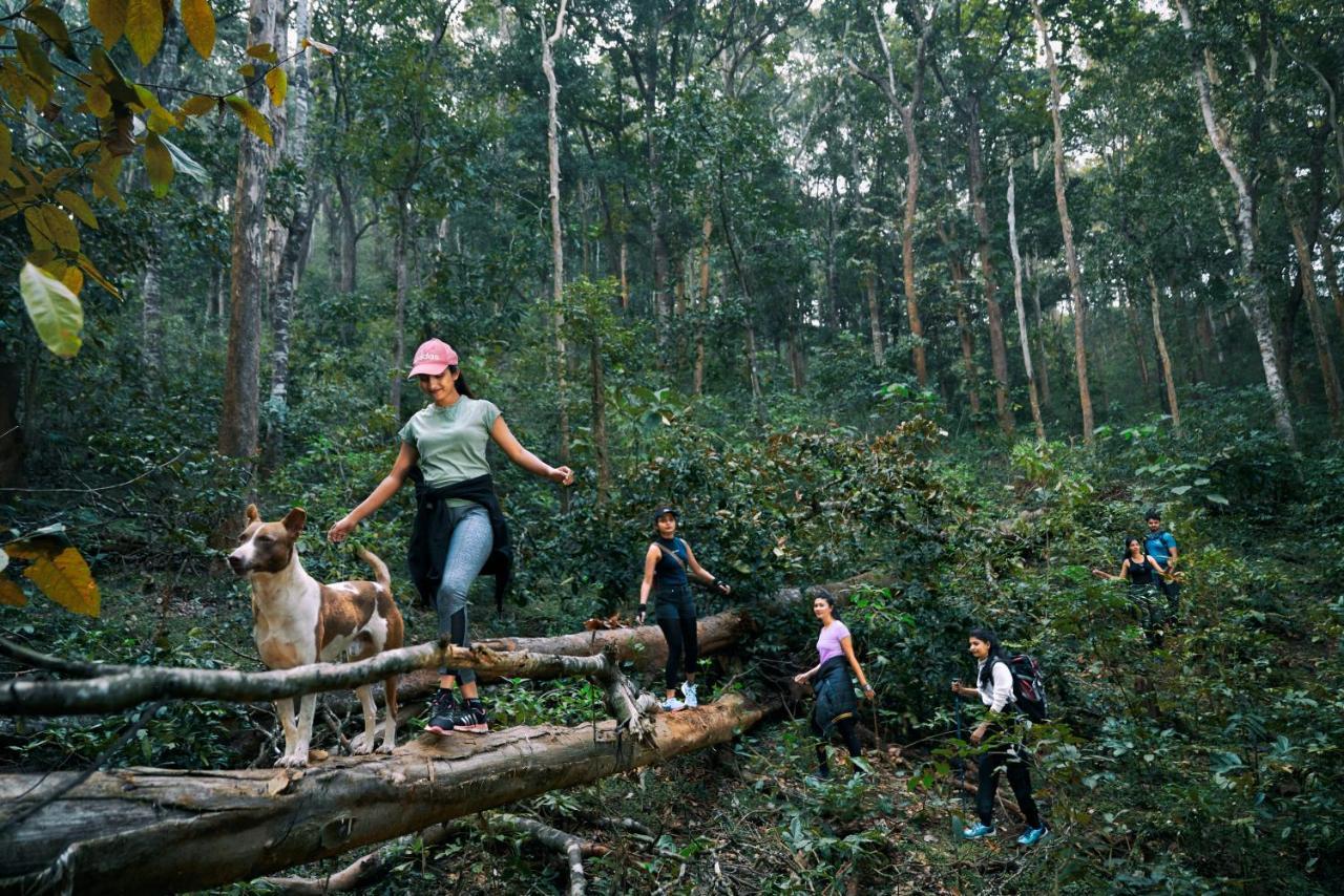 Whistling Woodzs Resort Dandeli Dış mekan fotoğraf